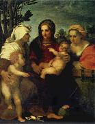 Andrea del Sarto Madonna and child with Sts Catherine and Elizabeth,and St John the Baptist Spain oil painting artist